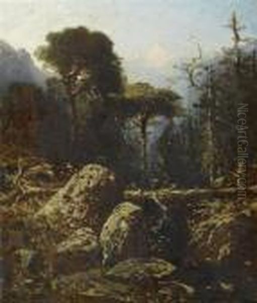 Wooded Landscape - view 1