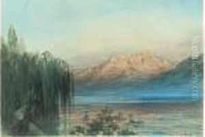 Femme Au Bord Du Lac Leman Au Soleil Couchant