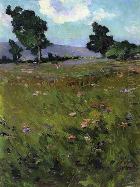 Landscape - view 1