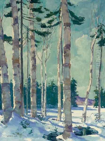 Winter Landscape - view 1