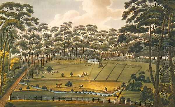 Raby - a Farm Belonging to Alexander Riley Esq. NSW - view 1