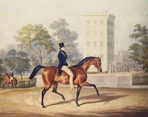 The Marquis of Anglesea on Horseback in Hyde Park by George Henry Laporte