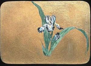 Iris by Christopher Grant La Farge