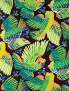 Parrots by Raoul Dufy
