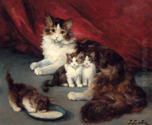 Kittens with their mother