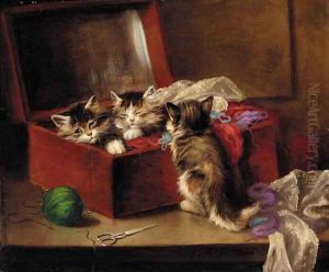 Kittens in a sewing box