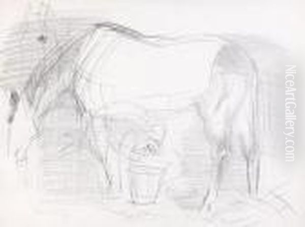 Cheval A L'ecurie - view 1