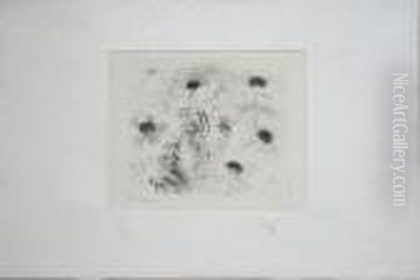 Pavots - view 1