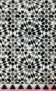 Motifs De Zelliges by Raoul Dufy