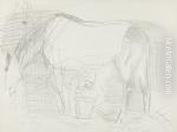 Le Cheval - view 1