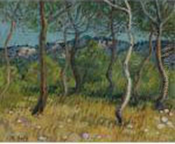 Paysage Aux Martigues - view 1