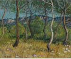 Paysage Aux Martigues by Raoul Dufy