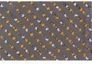 Etude De Fleurs Dans Des Rubans