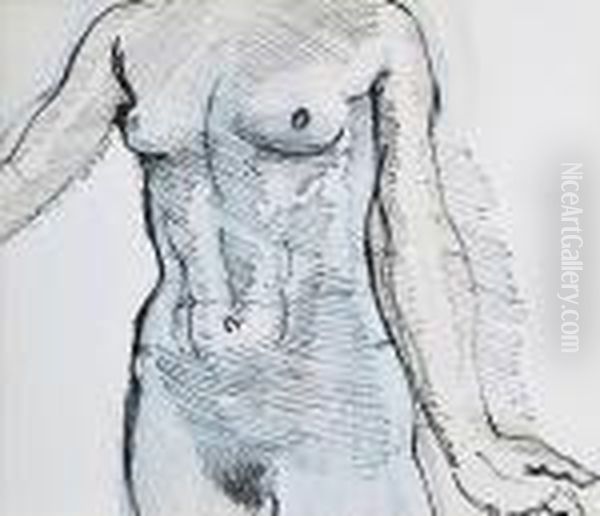 Etude De Buste Feminin - view 1