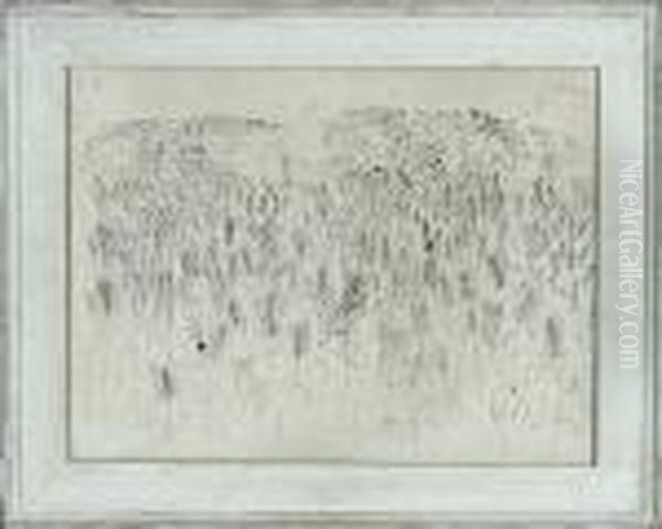 A Cornfield - view 1