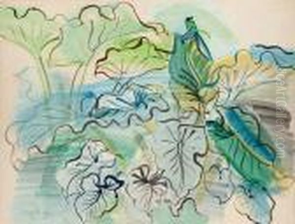 Feuillage D'arums - view 1