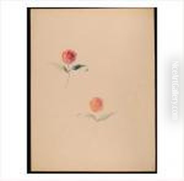 Roses - view 1