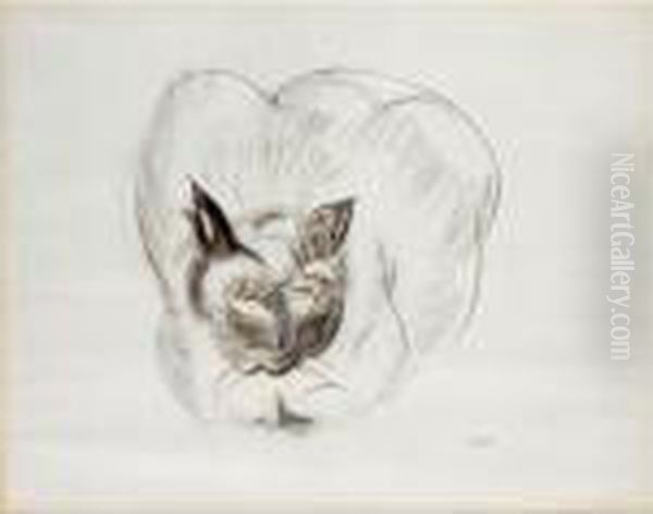 Le Chat - view 1