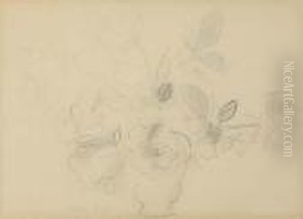 Untitled - view 1