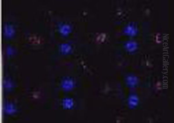 Fleurettes Roses Et Bleues, Fond Noir - view 1
