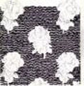Roses Sur Stries Noires Roses Sur Stries Noires