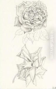 Deux Roses