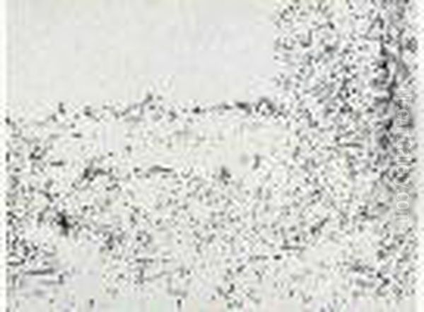 Langres (ii), Circa 1935 - view 1