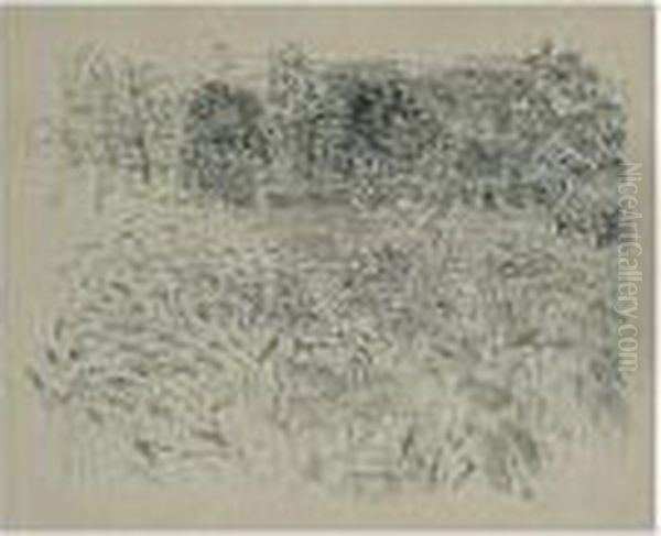 Landscape - view 1