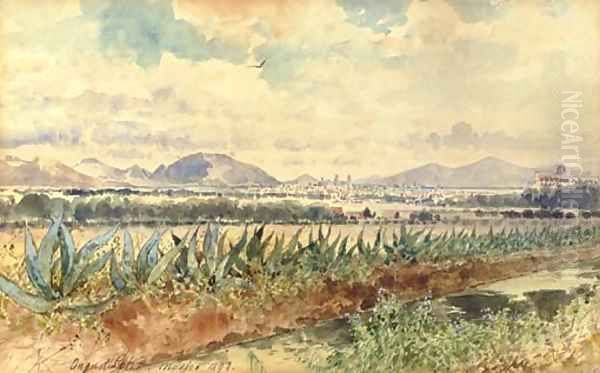 Volcan y magueyes - view 1