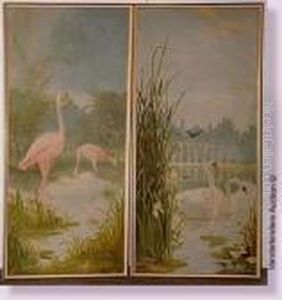 Cygnes Sur L'etang