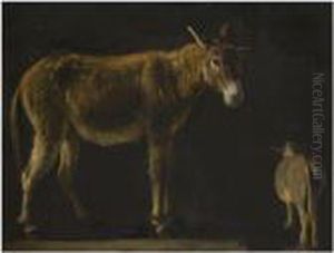Studies Of A Donkey Studies Of A Donkey