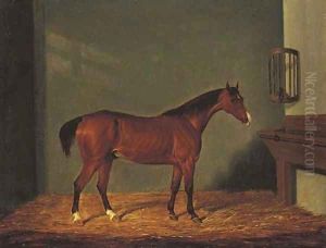 A Bay Hunter in a Stable by James Loder