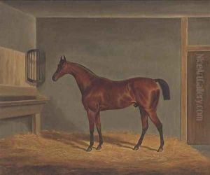 A bay racehorse in a stable by James Loder