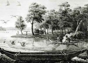 New Holland New South Wales by Lesueur, Charles Alexandre