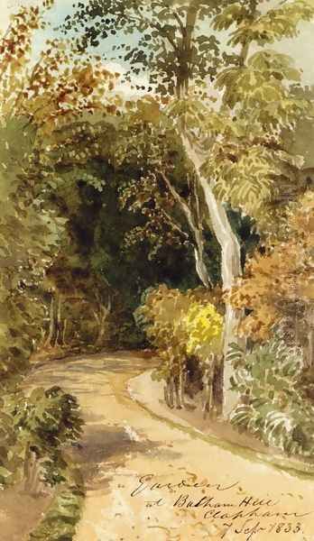 Study of Trees in South-West London - view 1