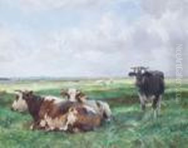 Vaches - view 1