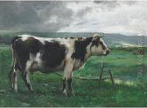 Cows At Pasture - view 1