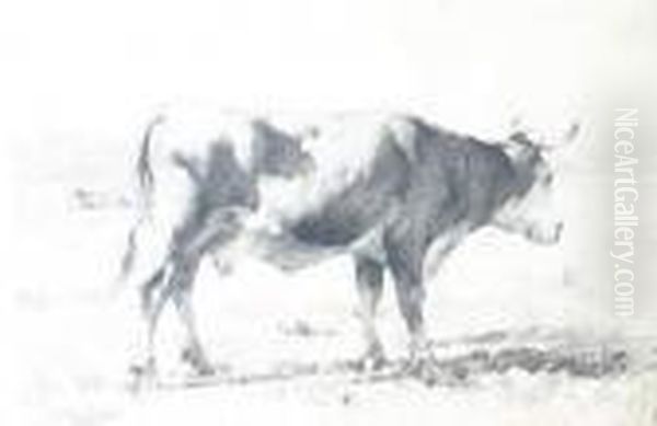 Vache Dans Un Pre - view 1