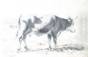 Vache Dans Un Pre by Julien Dupre