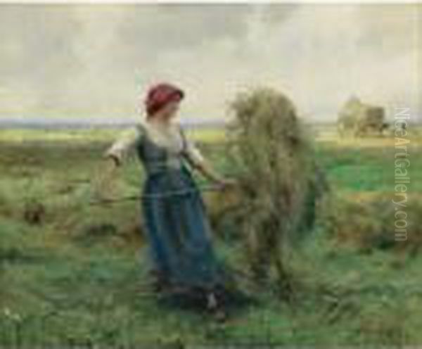 Haymakers - view 1