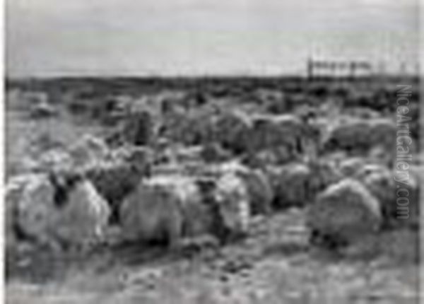 Le Troupeau De Moutons - view 1
