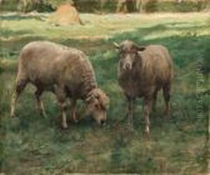 Moutons Dans Une Prairie