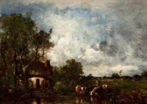 Cattle Watering