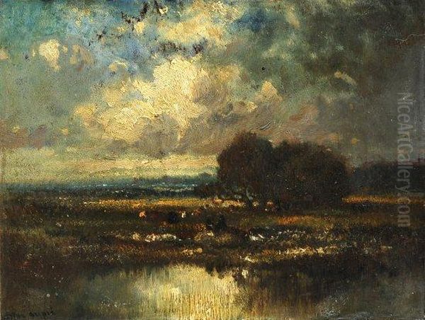 Paysage - view 1
