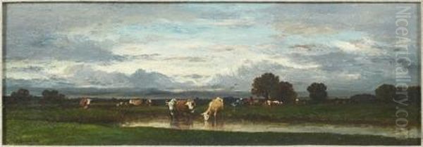 Troupeau De Vaches Au Coucher Du Soleil - view 1