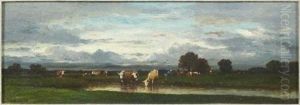 Troupeau De Vaches Au Coucher Du Soleil Troupeau De Vaches Au Coucher Du Soleil