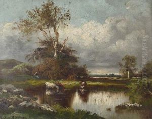 Trinkende Kuhe Im Weiher.