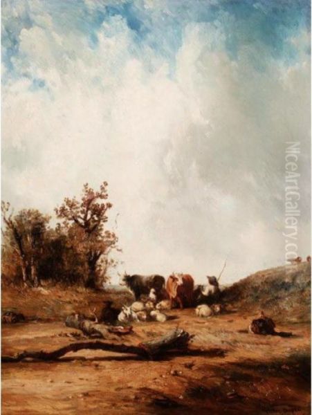 Cattle Resting - view 1