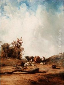 Cattle Resting Cattle Resting