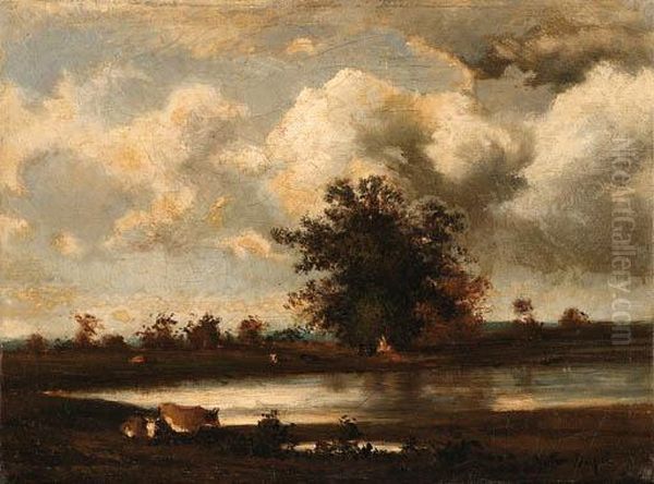 Cows Watering By The River's Edge - view 1